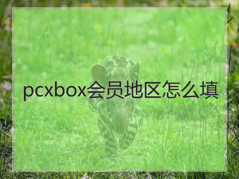 pcxbox会员地区怎么填
