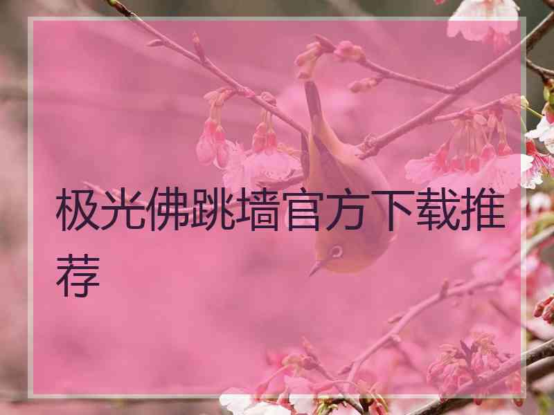 极光佛跳墙官方下载推荐