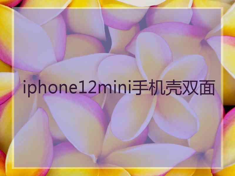 iphone12mini手机壳双面