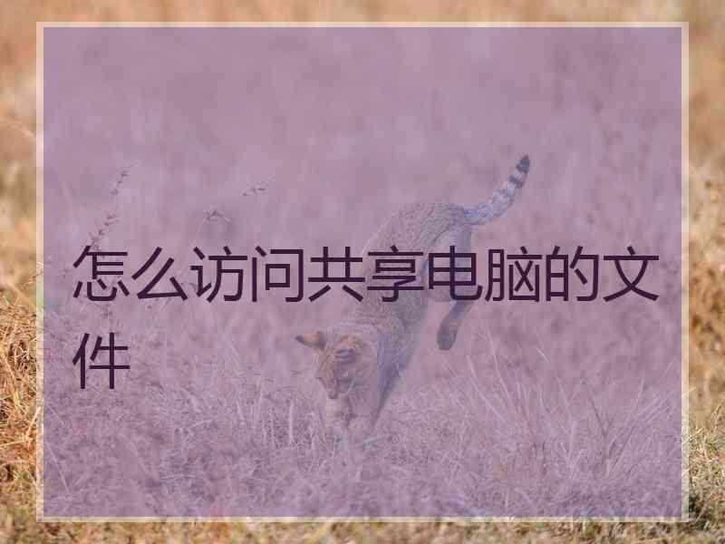 怎么访问共享电脑的文件