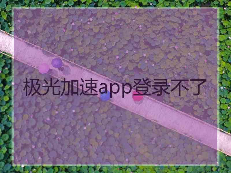 极光加速app登录不了