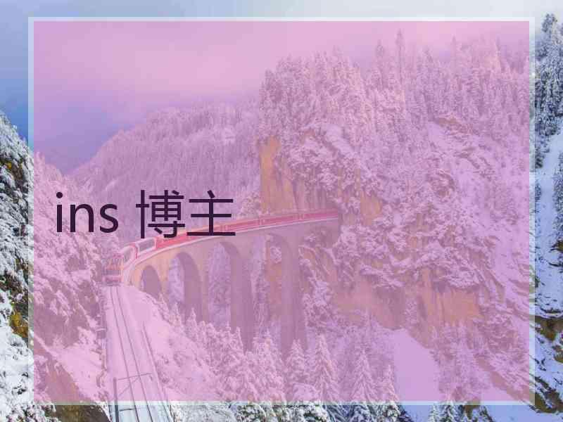 ins 博主