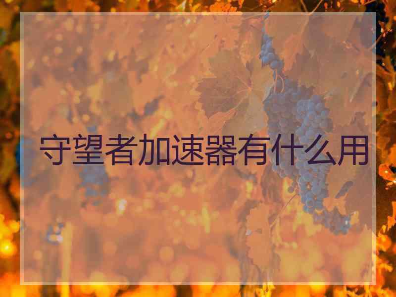 守望者加速器有什么用