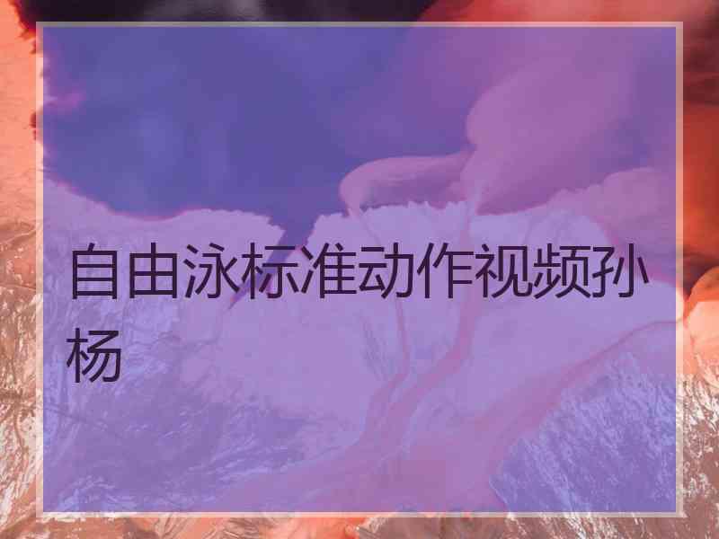 自由泳标准动作视频孙杨