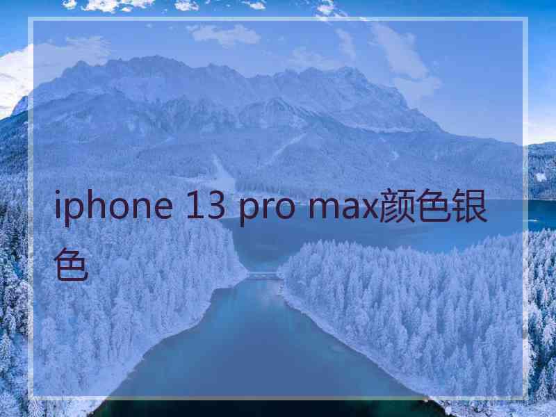 iphone 13 pro max颜色银色
