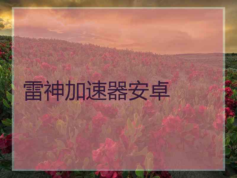 雷神加速器安卓