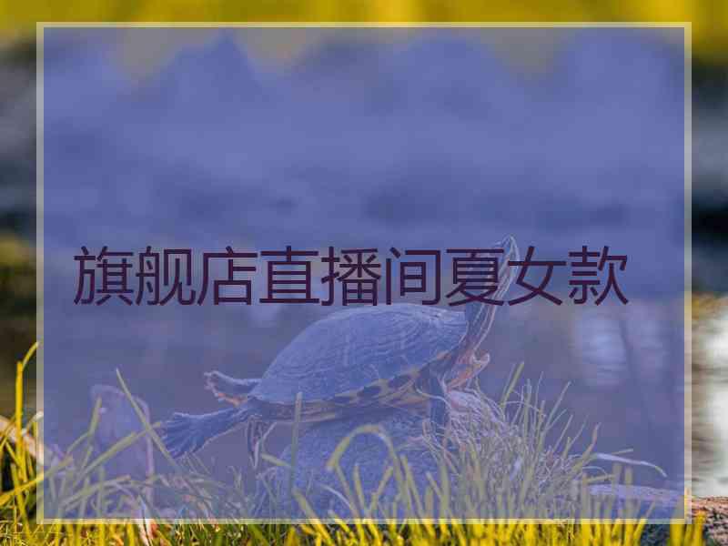 旗舰店直播间夏女款