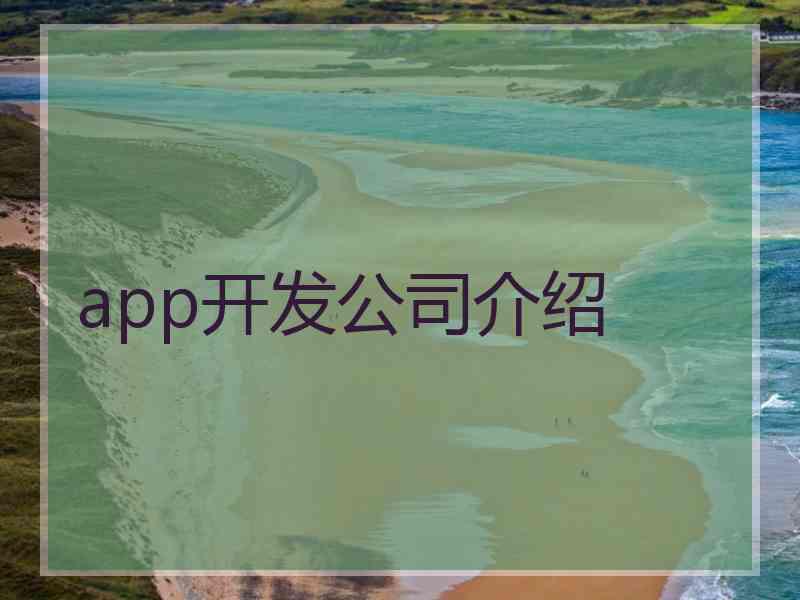 app开发公司介绍