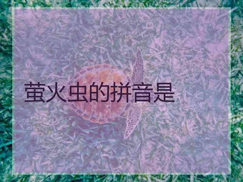 萤火虫的拼音是