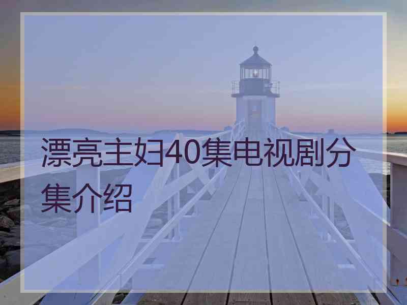 漂亮主妇40集电视剧分集介绍