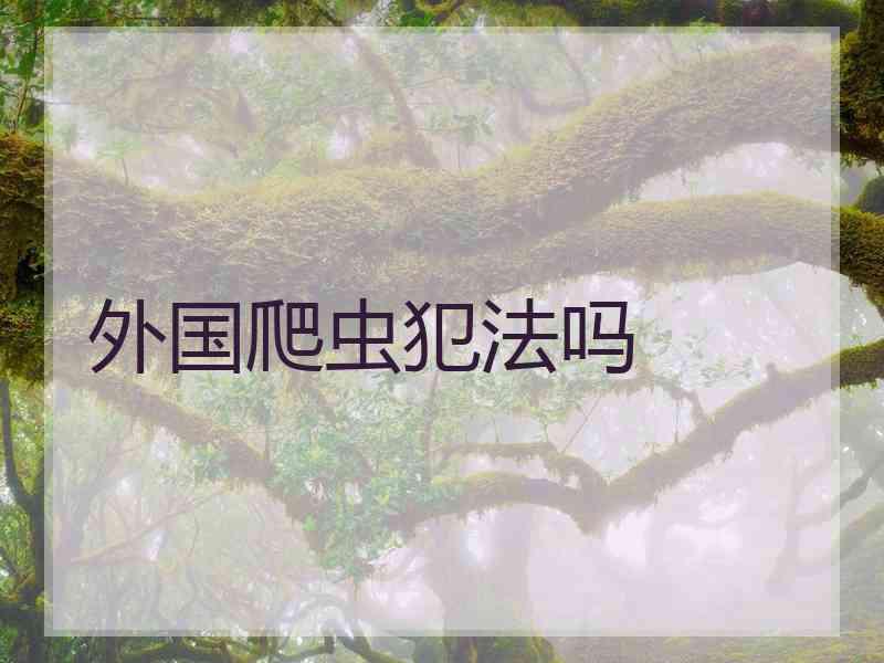 外国爬虫犯法吗