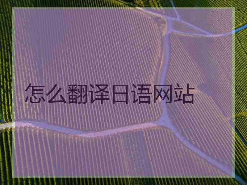 怎么翻译日语网站