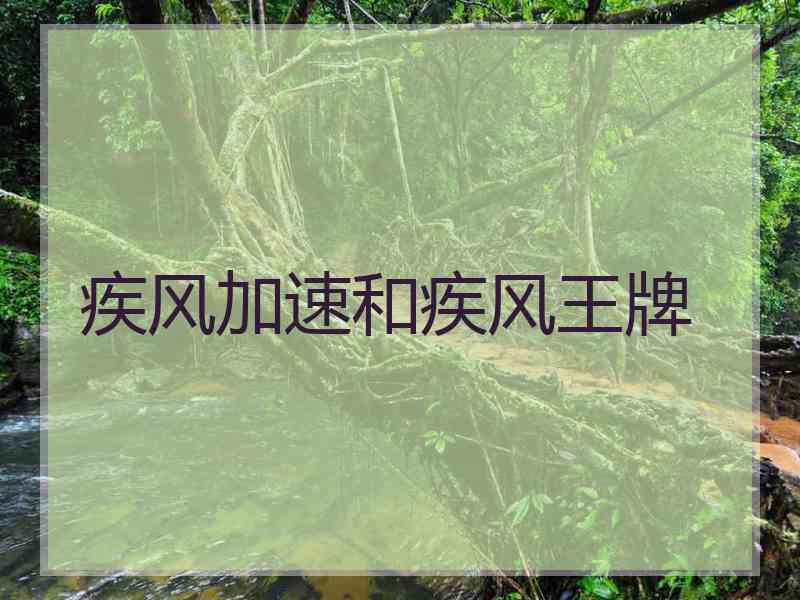 疾风加速和疾风王牌