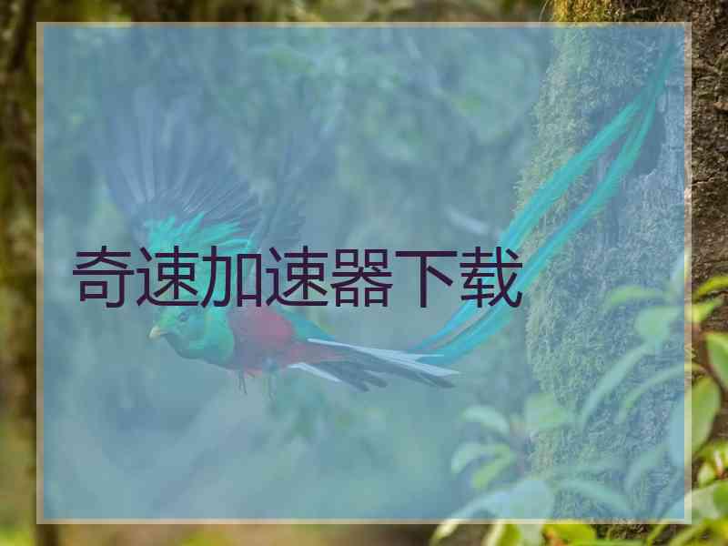 奇速加速器下载