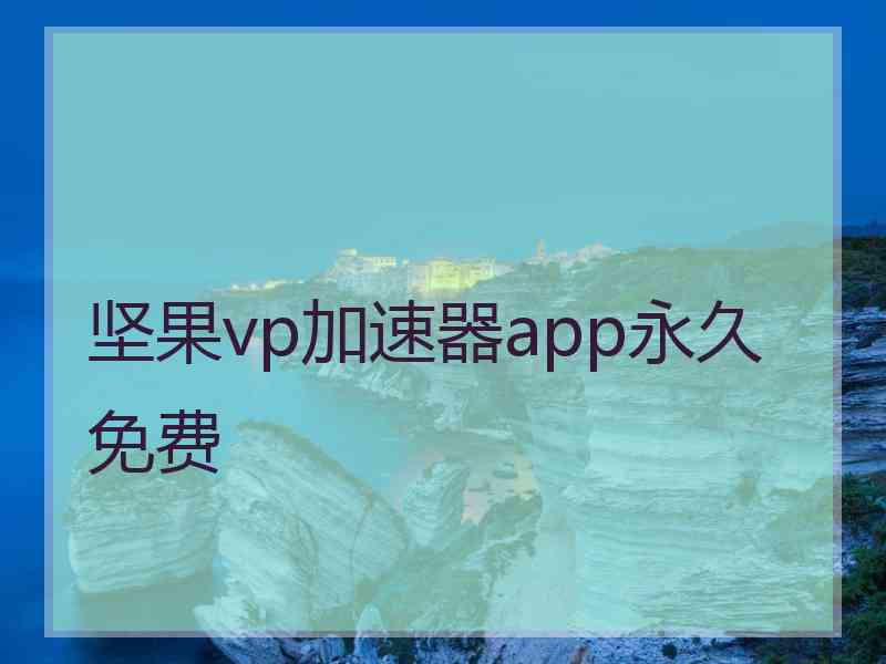 坚果vp加速器app永久免费