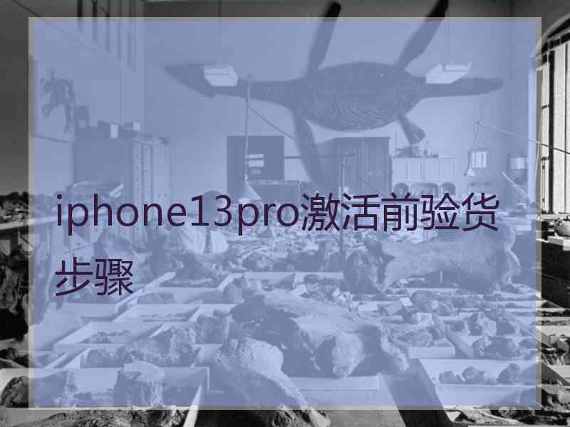 iphone13pro激活前验货步骤
