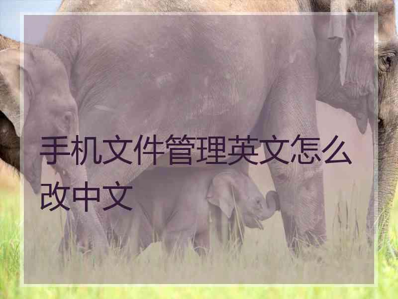 手机文件管理英文怎么改中文