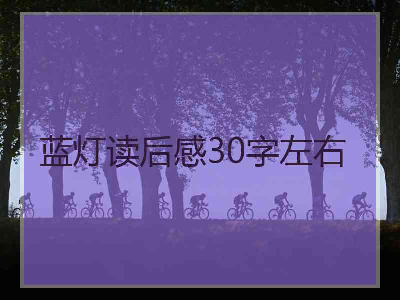 蓝灯读后感30字左右