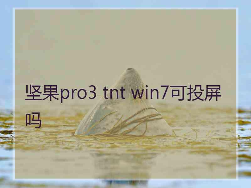 坚果pro3 tnt win7可投屏吗
