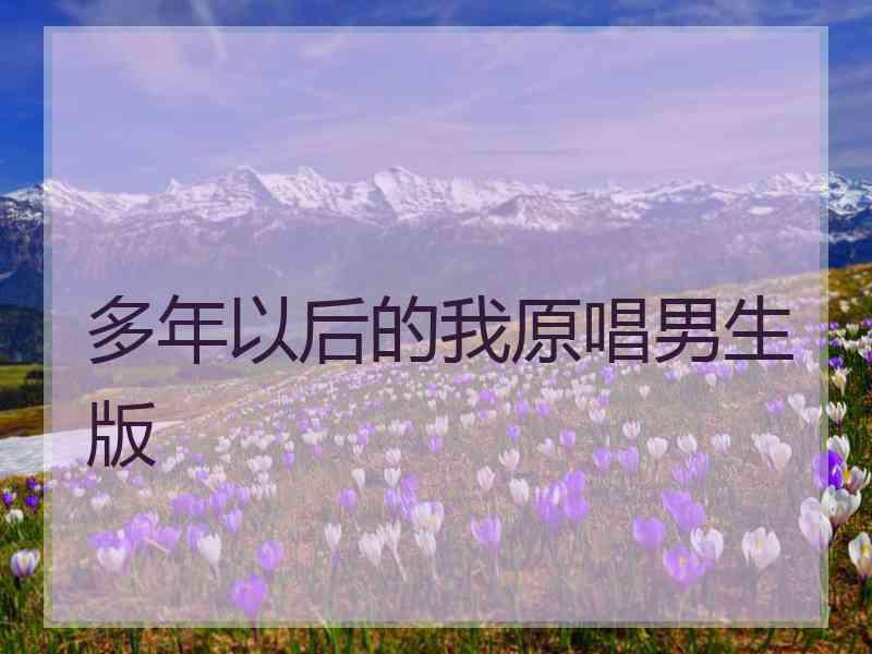 多年以后的我原唱男生版
