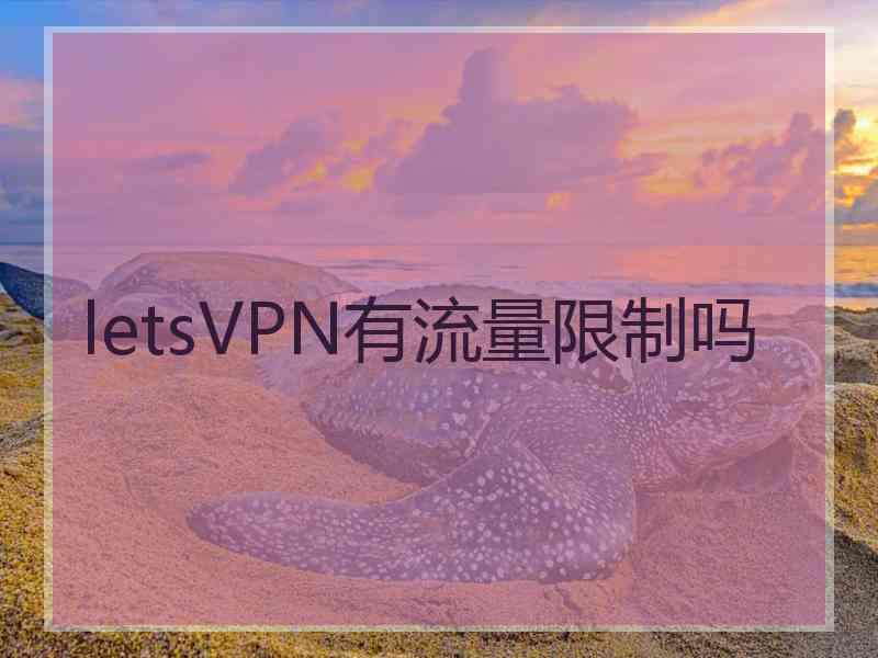 letsVPN有流量限制吗