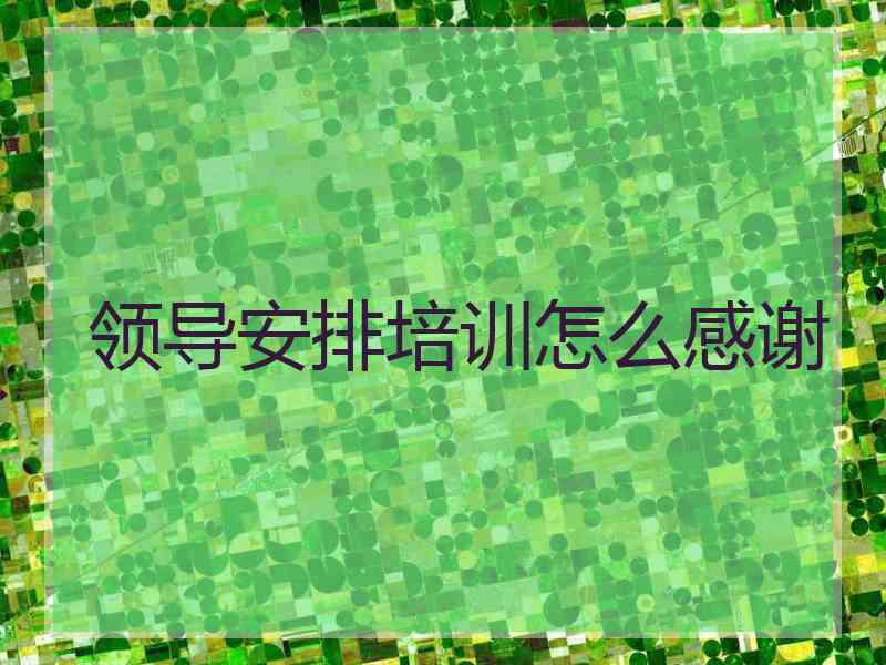 领导安排培训怎么感谢