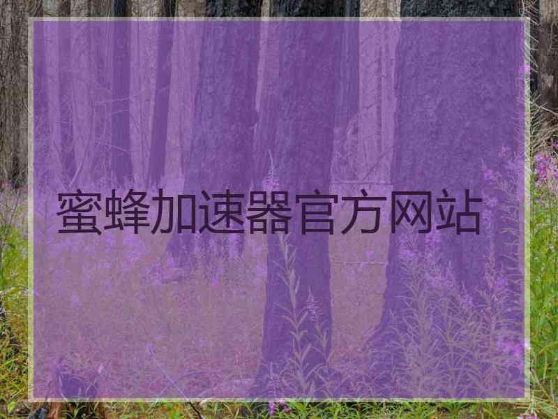 蜜蜂加速器官方网站