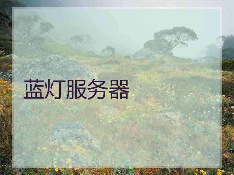 蓝灯服务器