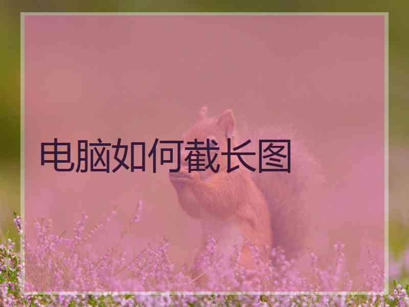 电脑如何截长图
