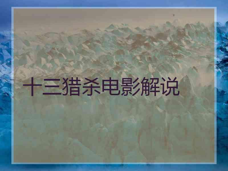 十三猎杀电影解说