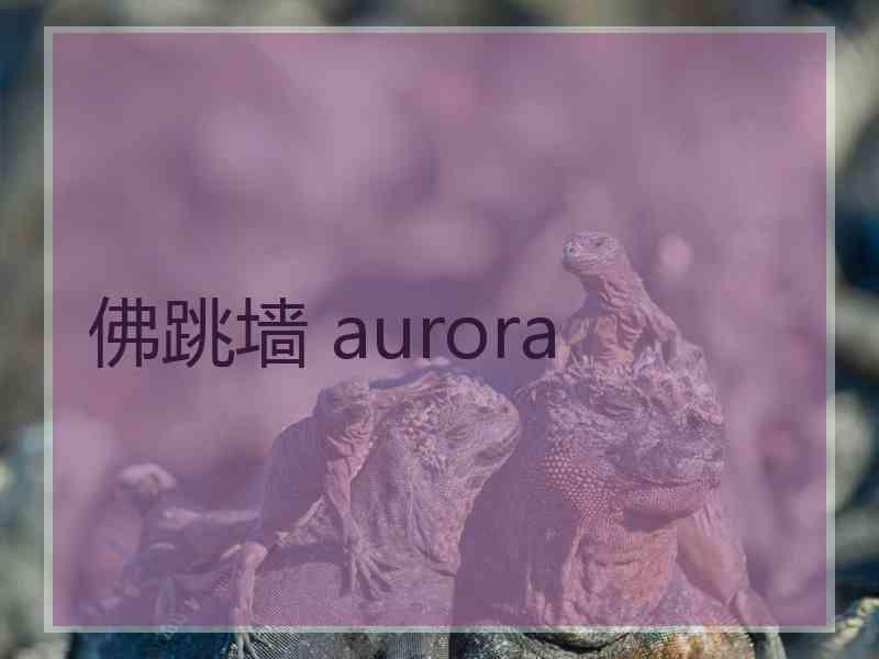 佛跳墙 aurora