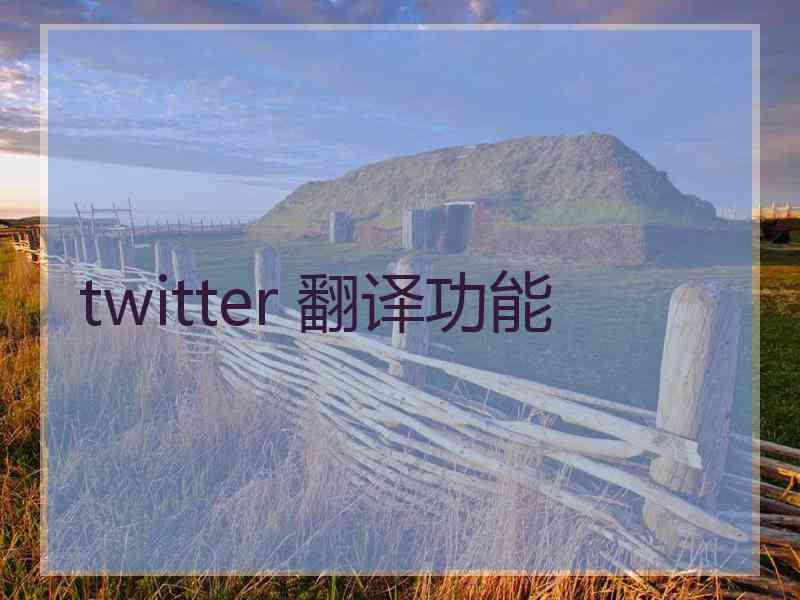 twitter 翻译功能