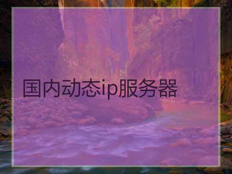 国内动态ip服务器