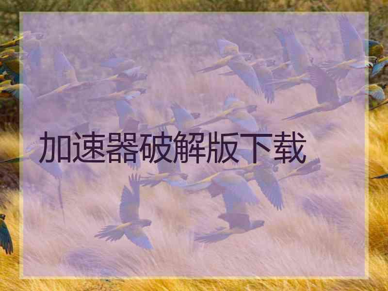 加速器破解版下载