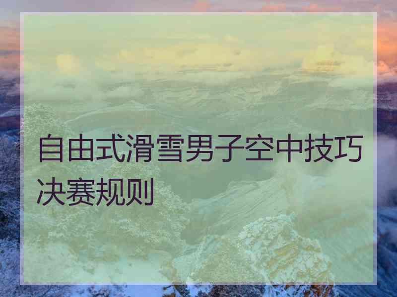 自由式滑雪男子空中技巧决赛规则