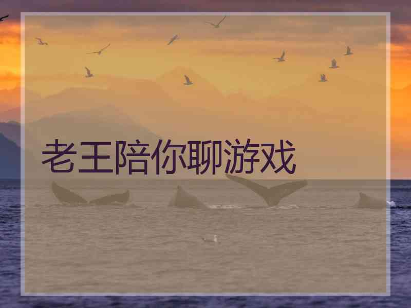 老王陪你聊游戏