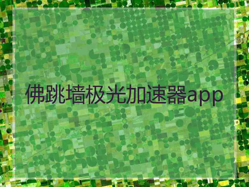 佛跳墙极光加速器app