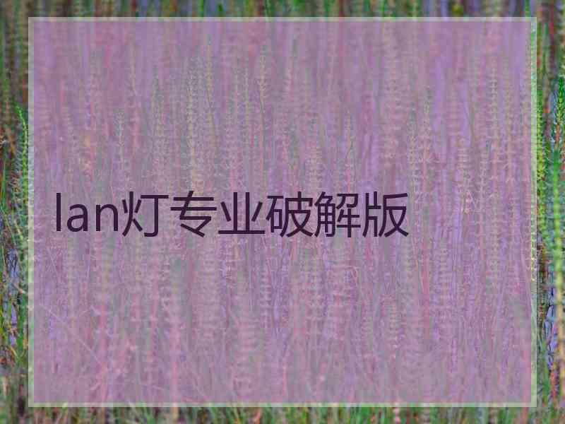 lan灯专业破解版