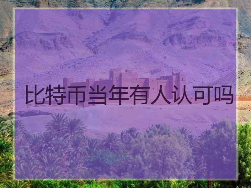 比特币当年有人认可吗