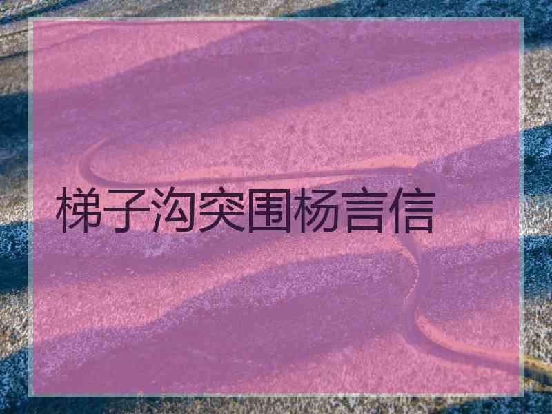 梯子沟突围杨言信