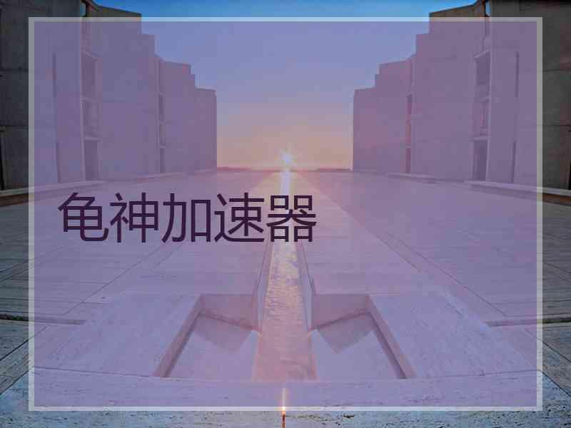 龟神加速器