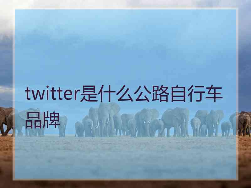 twitter是什么公路自行车品牌