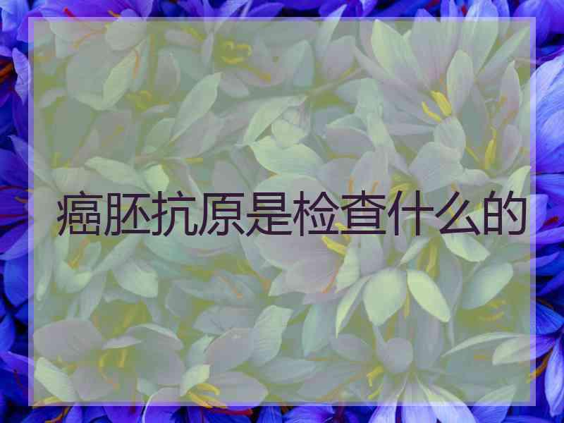 癌胚抗原是检查什么的