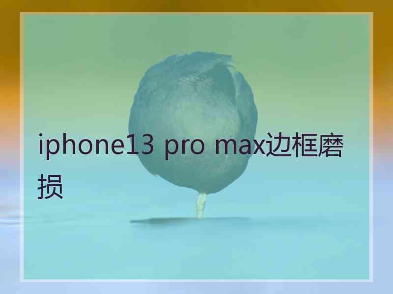 iphone13 pro max边框磨损