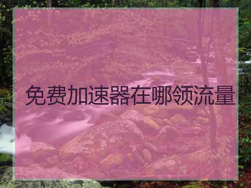 免费加速器在哪领流量