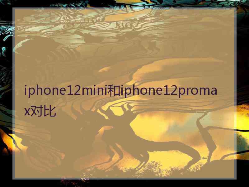 iphone12mini和iphone12promax对比