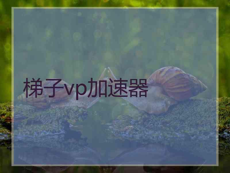 梯子vp加速器