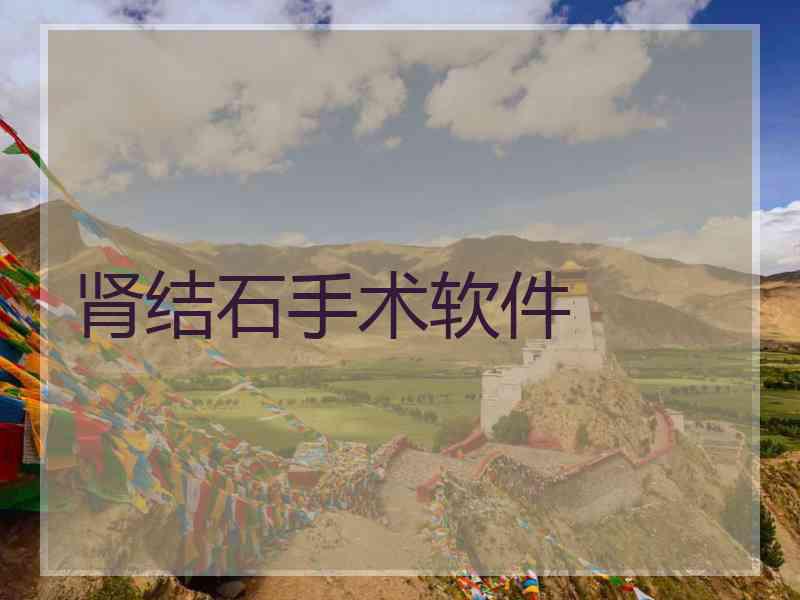 肾结石手术软件