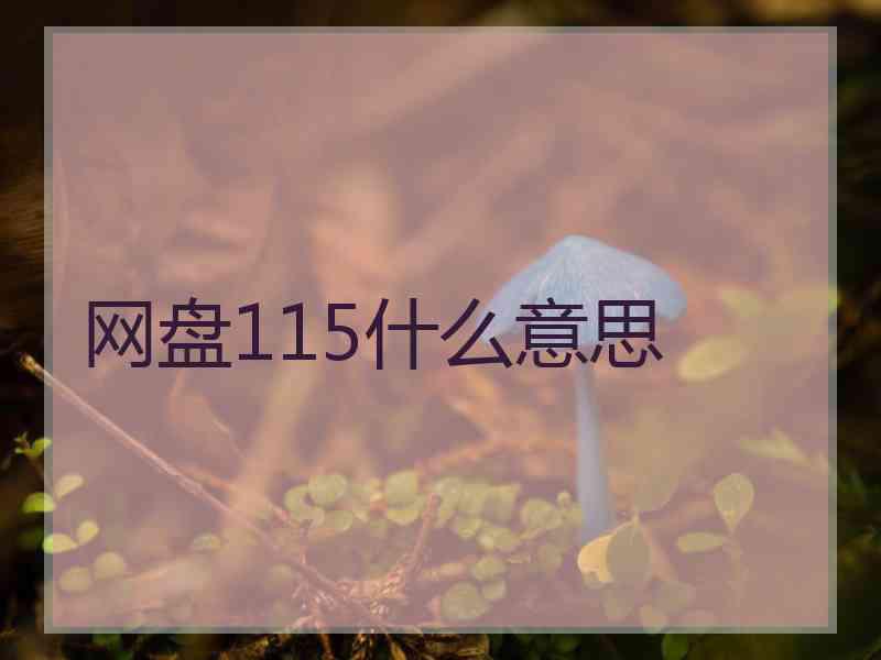 网盘115什么意思