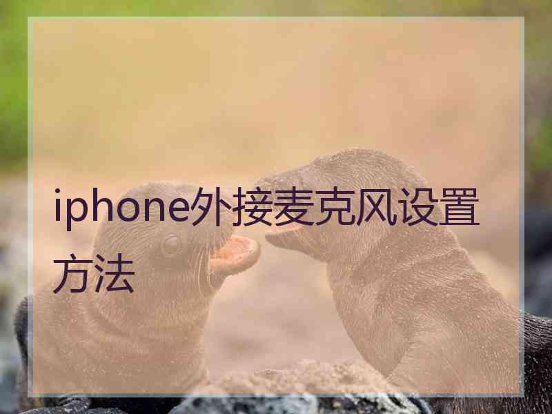 iphone外接麦克风设置方法